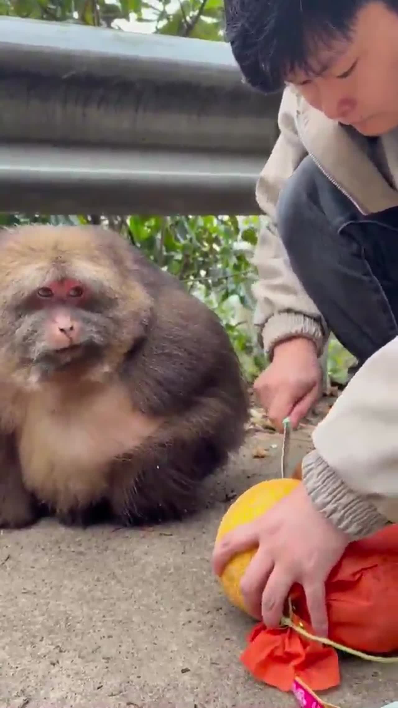 testjhfghgjgfg fhjggjjh