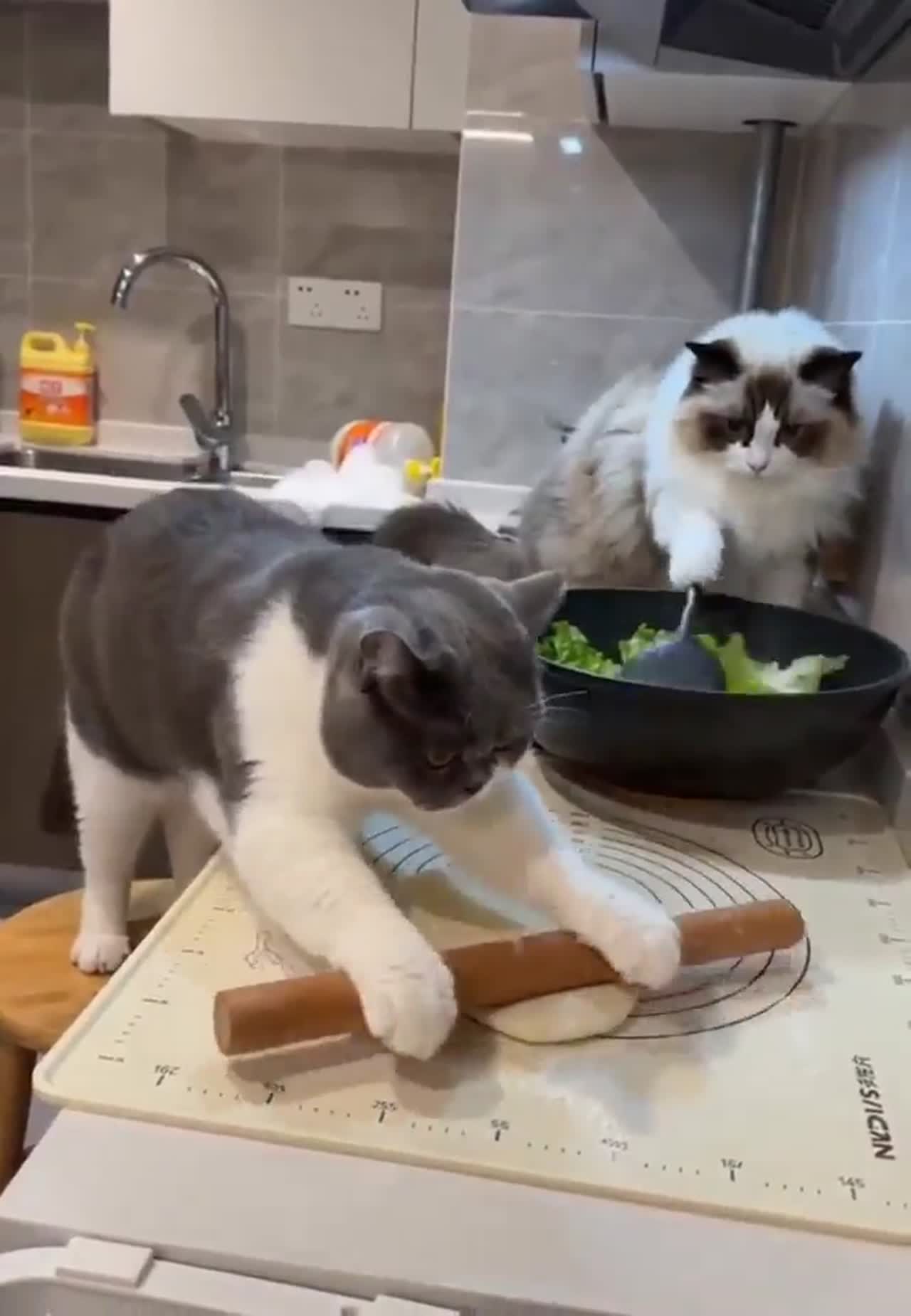 let’s work together