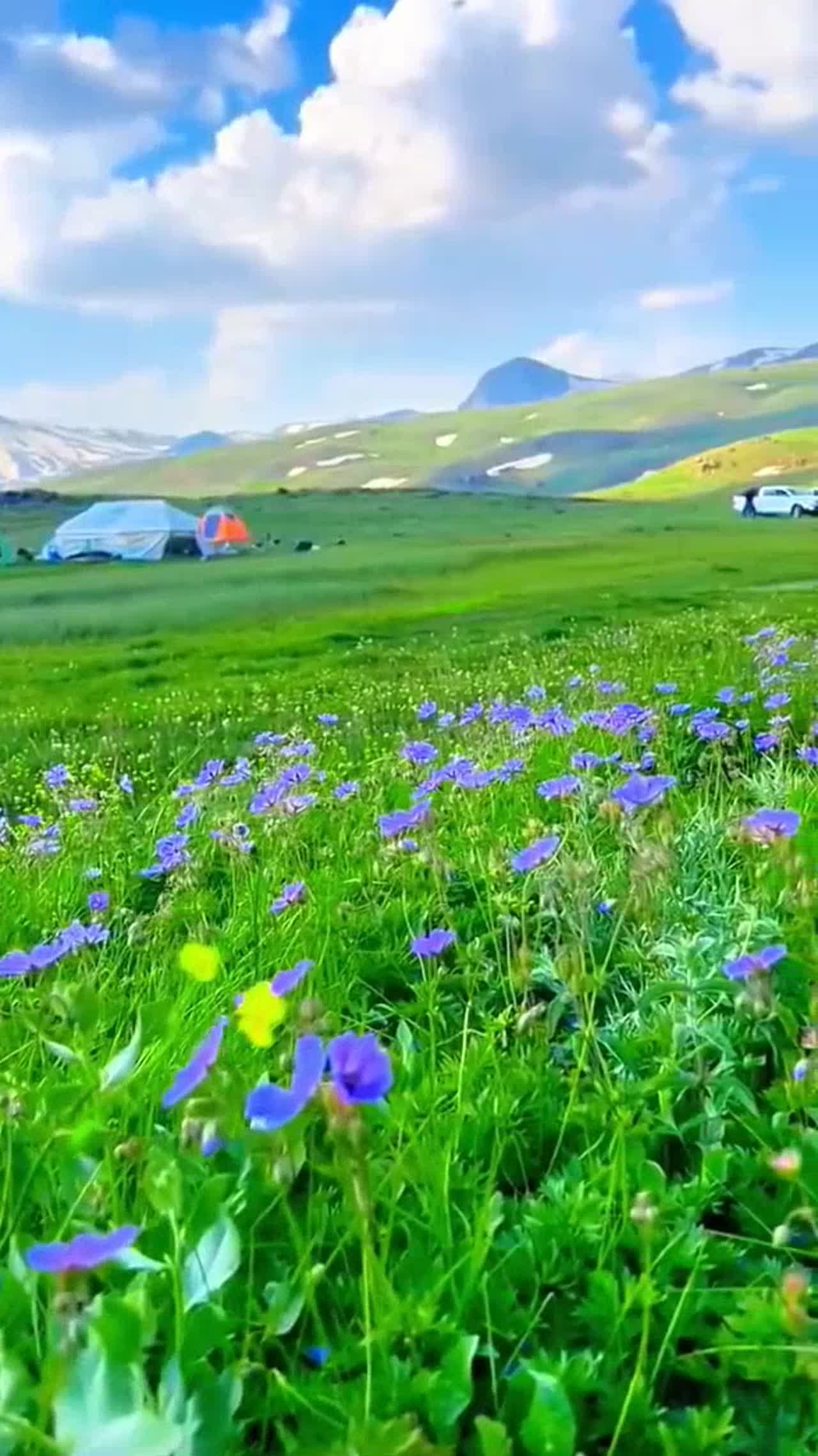 nature lo