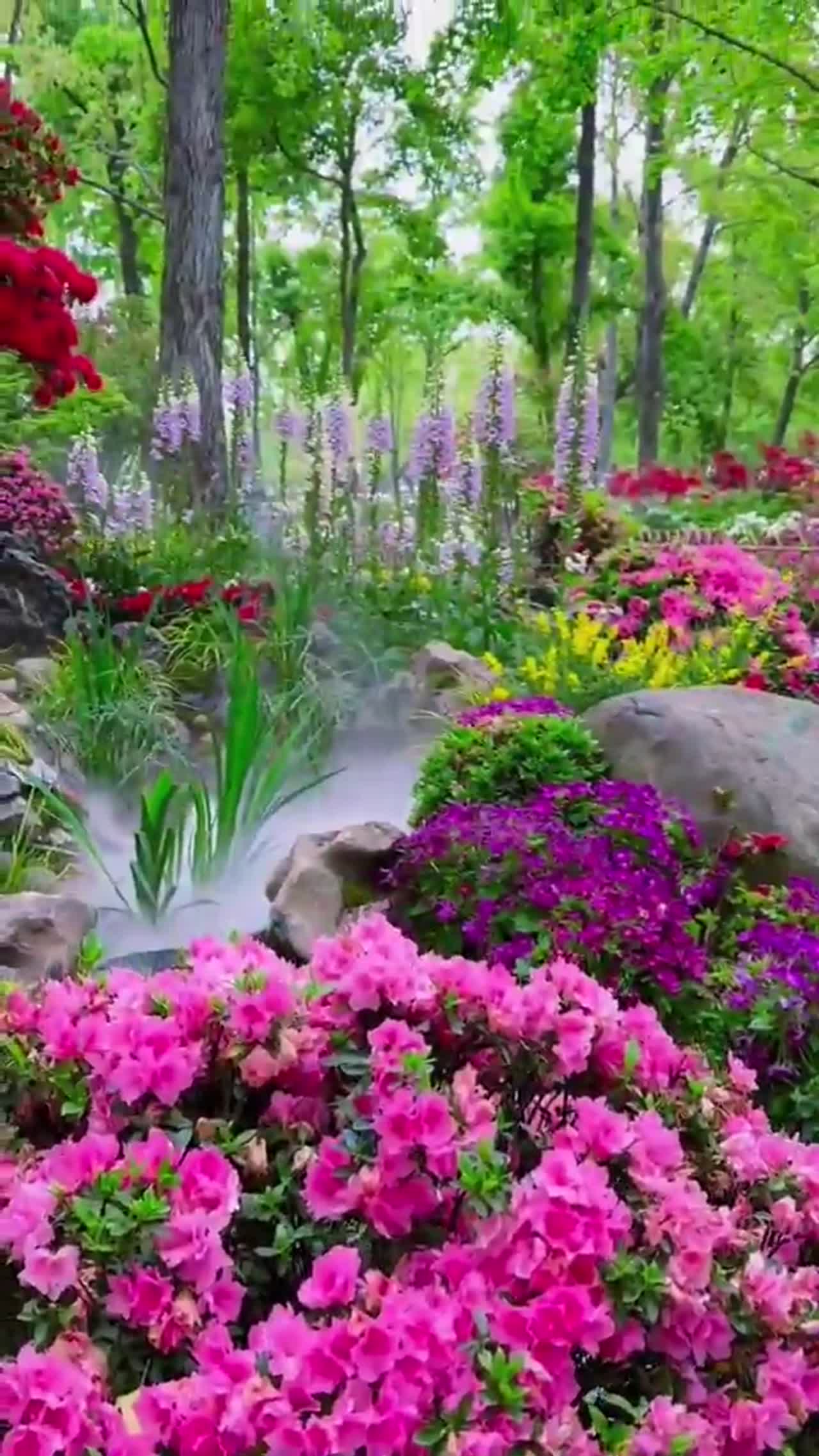 flowers makes your mind fresh