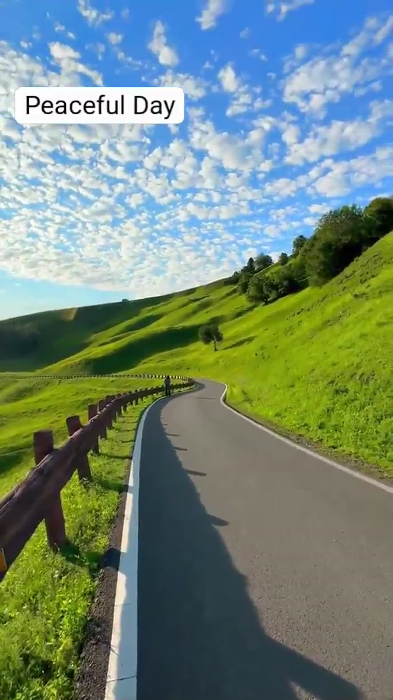 morning shows the days