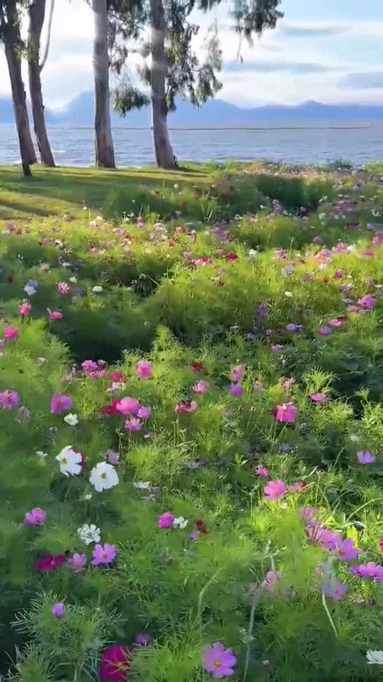 peaceful place