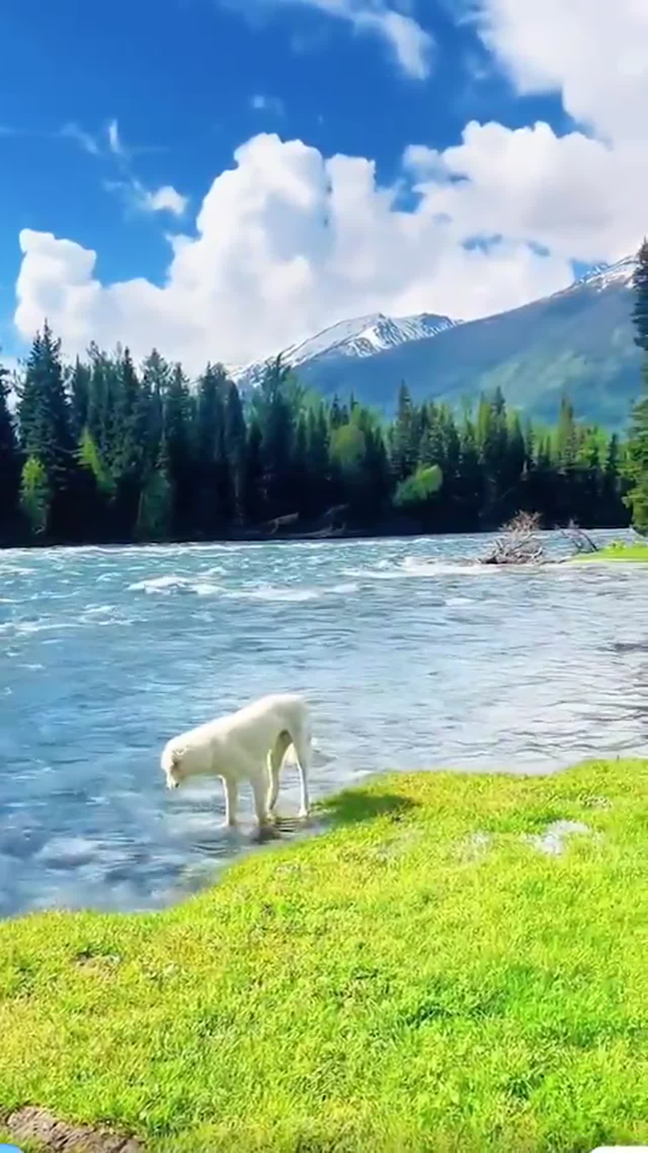 Art of Nature, unlimited happiness