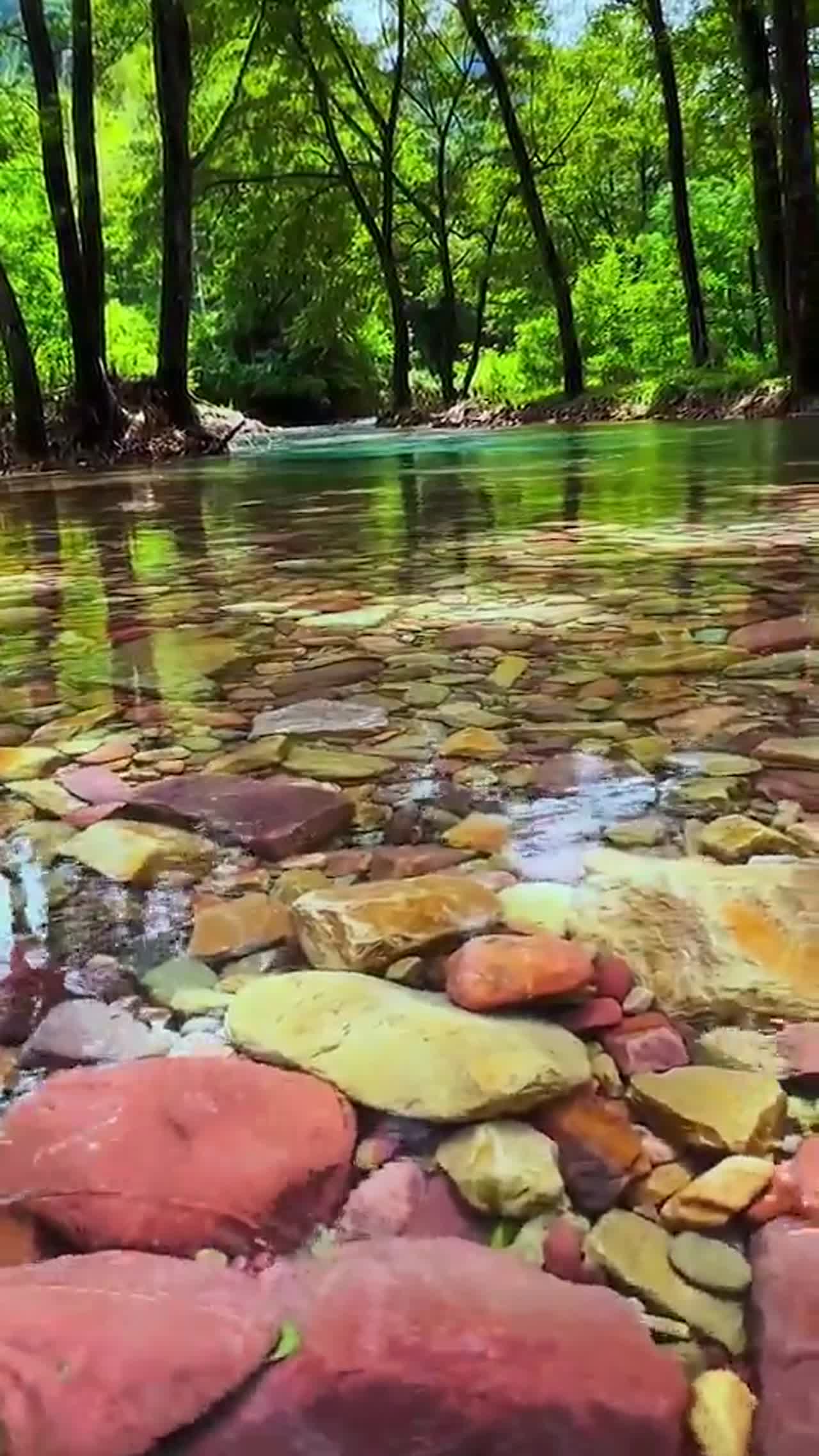 fresh water fresh mind