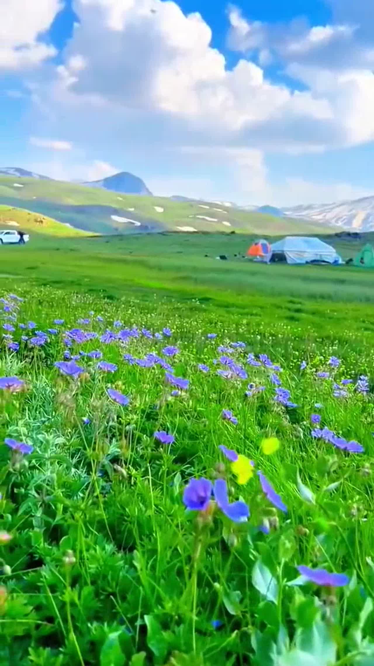 nature