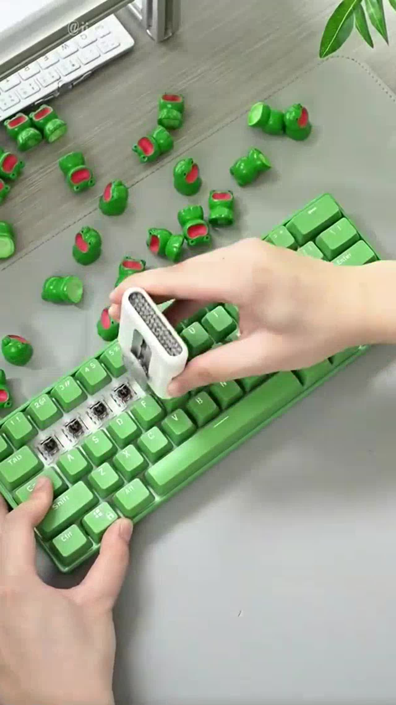 frog keyboard