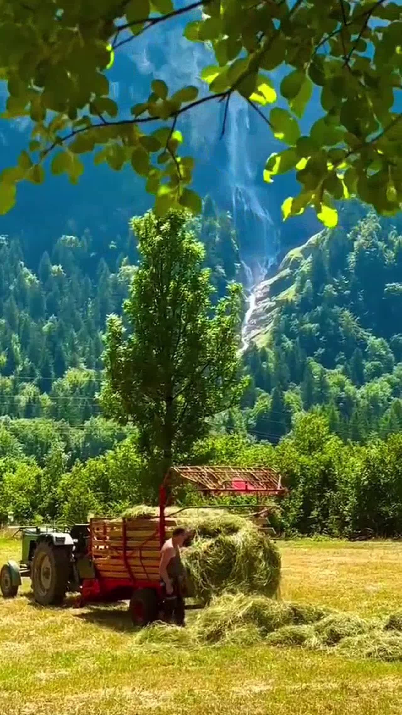 we love the nature