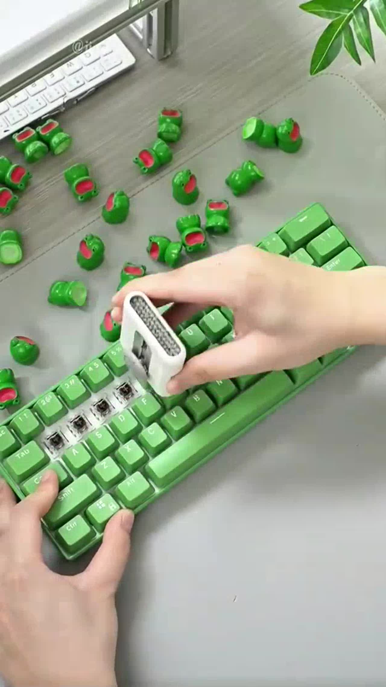 frog keypad