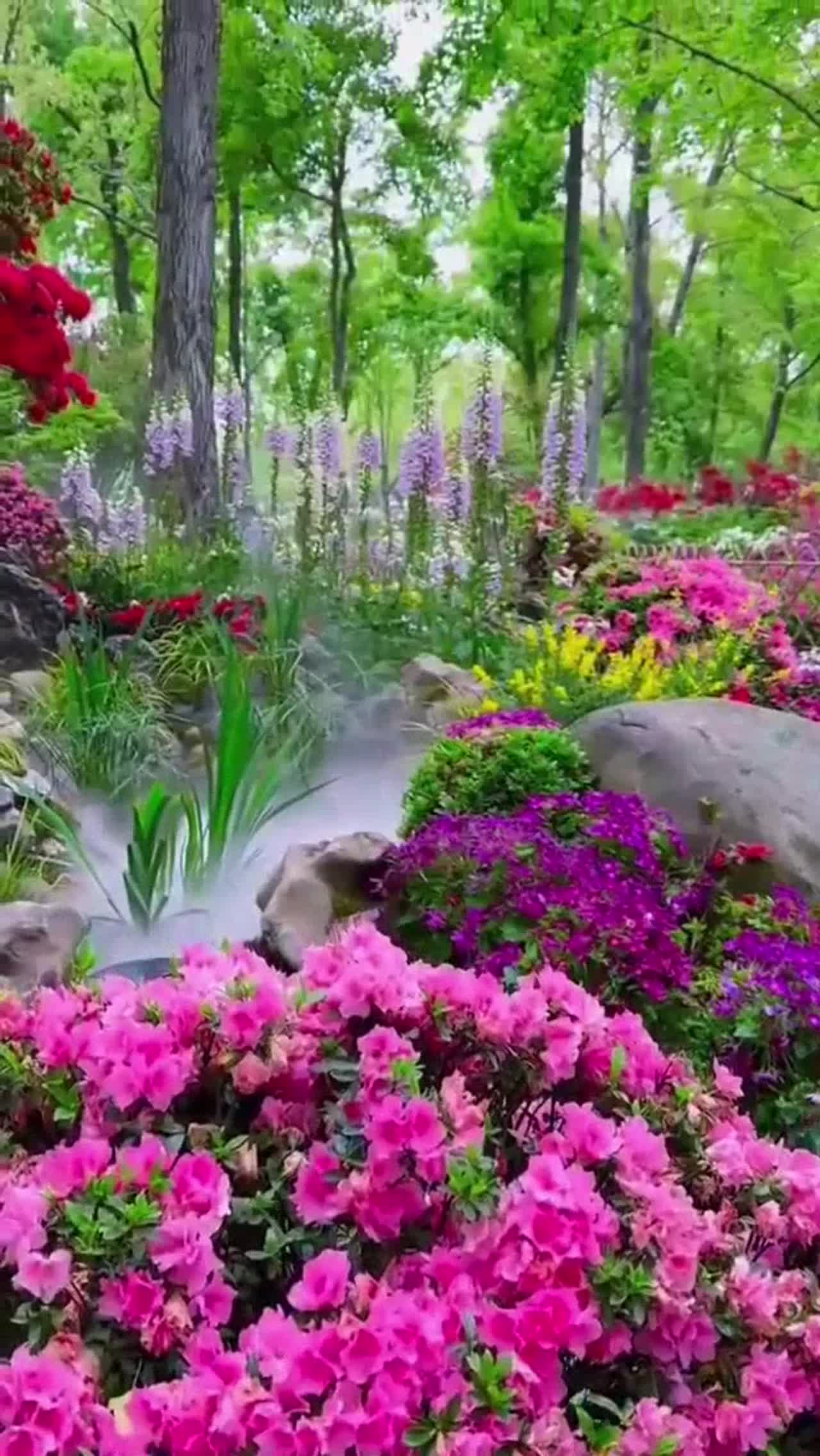 feel the nature