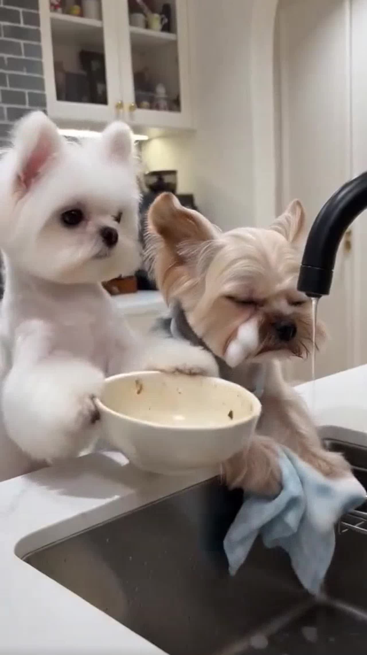 just fun